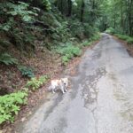 Flie – fotografie 23