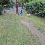 Flie – fotografie 24