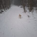 Flie – fotografie 26