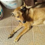 Monte – fotografie 16