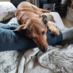 Monte – fotografie 18