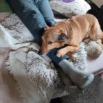 Monte – fotografie 19