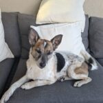 Kim – fotografie 26