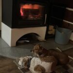 Andulka – fotografie 31