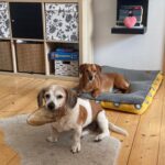 Andulka – fotografie 35