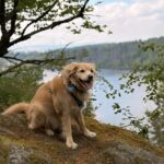 Křemík – fotografie 38