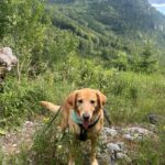 Teena – fotografie 14