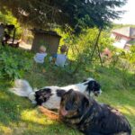 Kerry – fotografie 28
