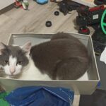 Péťa – fotografie 28