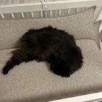 Rudy – fotografie 19