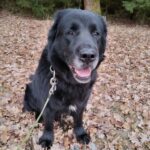 Jerrys – fotografie 40