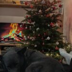 Loki – fotografie 23