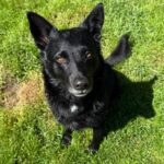 Loki – fotografie 24