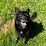 Loki – fotografie 25