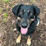 Daissy – fotografie 35