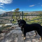 Daissy – fotografie 36