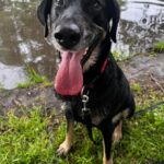 Daissy – fotografie 38