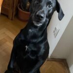 Eddie – fotografie 15