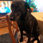 Eddie – fotografie 16