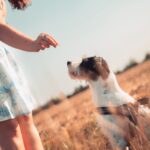 Elvis – fotografie 35