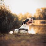 Elvis – fotografie 36
