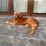 Lua – fotografie 23