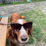 Lua – fotografie 24