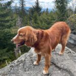 Lua – fotografie 25