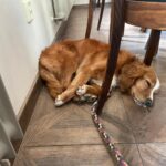 Lua – fotografie 27