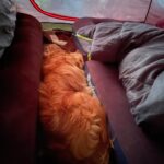 Lua – fotografie 28