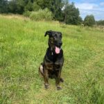 Lucky – fotografie 40