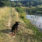 Lucky – fotografie 42