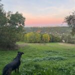 Lucky – fotografie 44