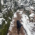 Lucky – fotografie 48