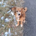 Magg – fotografie 22