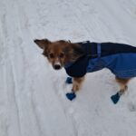 Magg – fotografie 23