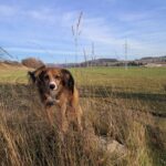 Magg – fotografie 24