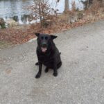 Moly – fotografie 48