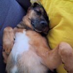 Hobi – fotografie 43