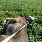 Ronn – fotografie 21