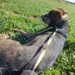 Ronn – fotografie 22