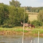 Ronn – fotografie 6