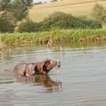 Ronn – fotografie 7