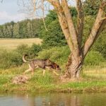 Ronn – fotografie 5