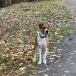 Any – fotografie 35