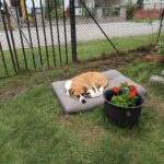 Any – fotografie 36