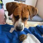 Any – fotografie 37