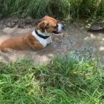 Any – fotografie 38