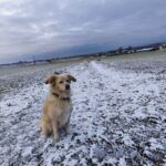 Lola – fotografie 33