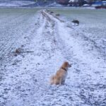 Lola – fotografie 34